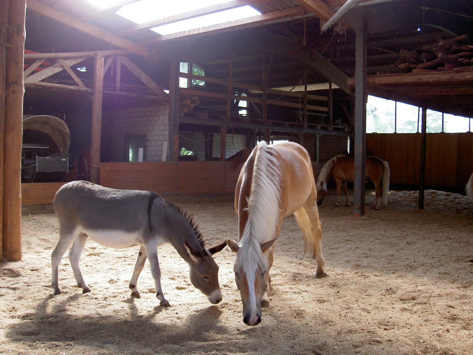 Horse stall